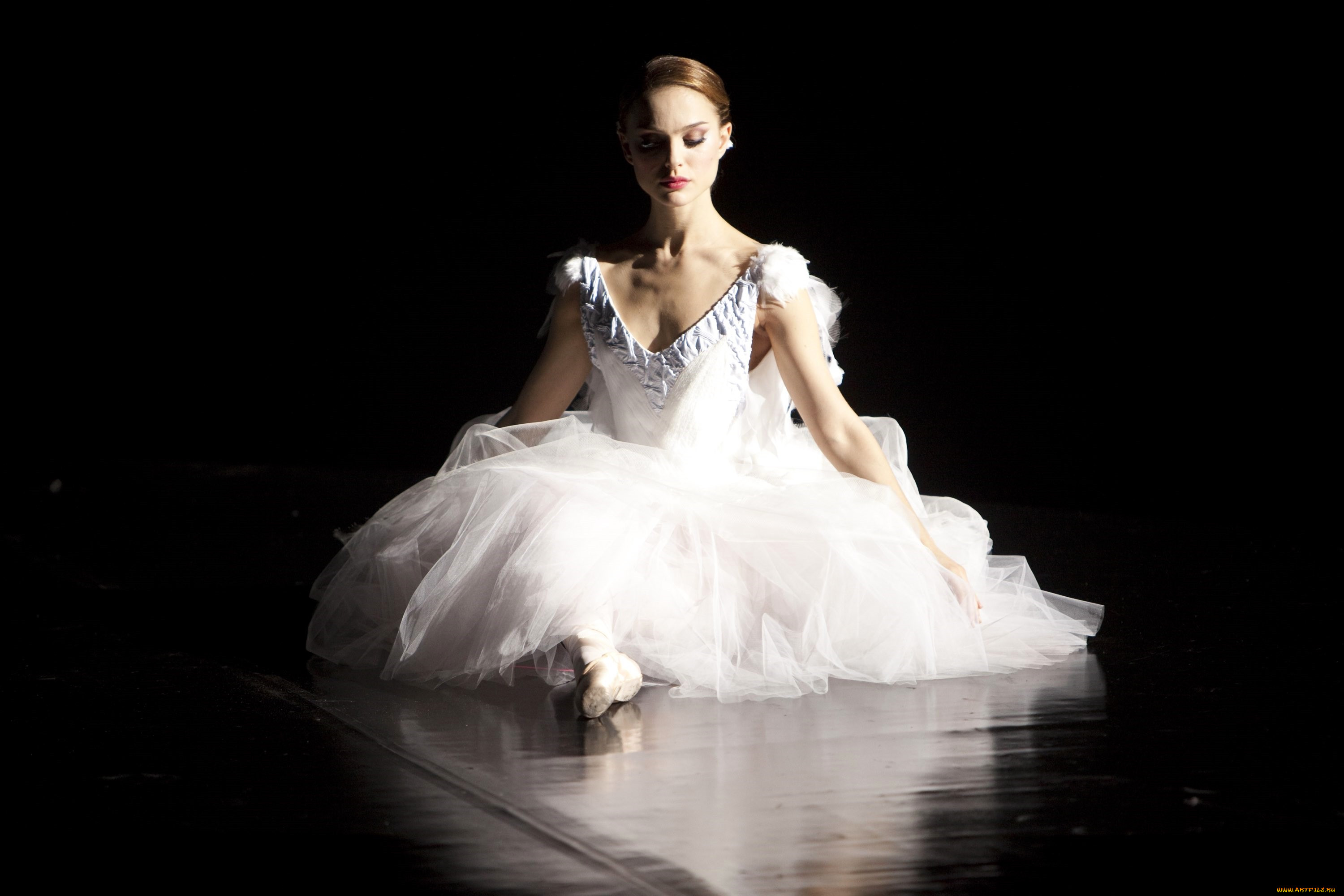  , black swan, 
